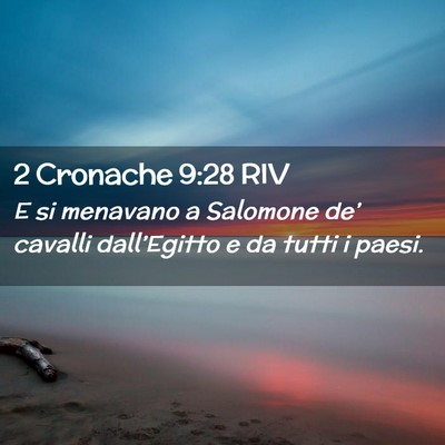 Picture 02 - 2 Cronache 9:28 RIV - E si menavano a Salomone de’ cavalli - Bible Verse Picture