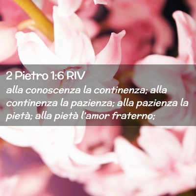 Picture 02 - 2 Pietro 1:6 RIV - alla conoscenza la continenza; alla continenza la - Bible Verse Picture