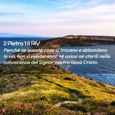 Picture 02 - 2 Pietro 1:8 RIV - Perché se queste cose si trovano e abbondano in - Bible Verse Picture
