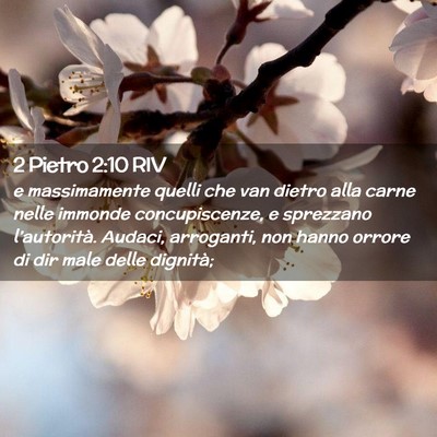 Picture 02 - 2 Pietro 2:10 RIV - e massimamente quelli che van dietro alla carne - Bible Verse Picture