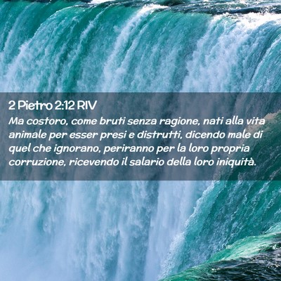 Picture 02 - 2 Pietro 2:12 RIV - Ma costoro, come bruti senza ragione, nati alla - Bible Verse Picture