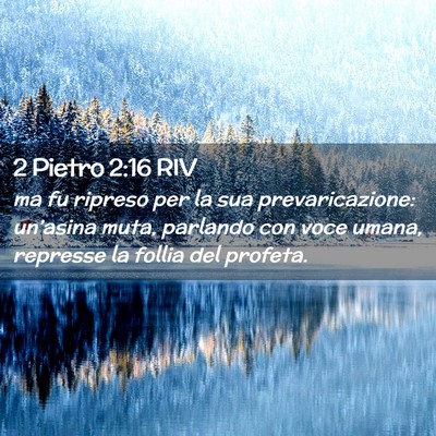 Picture 02 - 2 Pietro 2:16 RIV - ma fu ripreso per la sua prevaricazione: - Bible Verse Picture