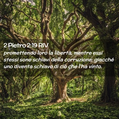 Picture 02 - 2 Pietro 2:19 RIV - promettendo loro la libertà, mentre essi stessi - Bible Verse Picture