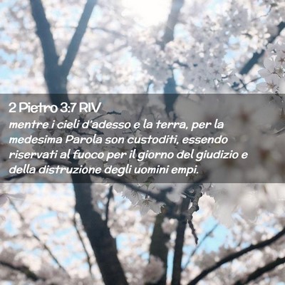 Picture 02 - 2 Pietro 3:7 RIV - mentre i cieli d’adesso e la terra, per la - Bible Verse Picture
