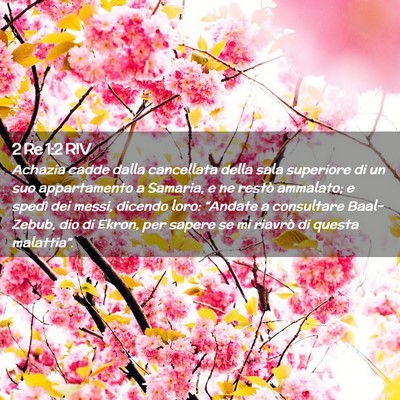 Picture 02 - 2 Re 1:2 RIV - Achazia cadde dalla cancellata della sala - Bible Verse Picture