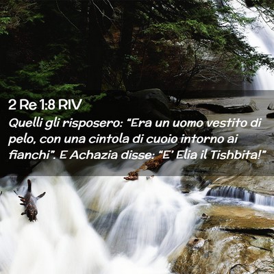 Picture 02 - 2 Re 1:8 RIV - Quelli gli risposero: “Era un uomo vestito di - Bible Verse Picture