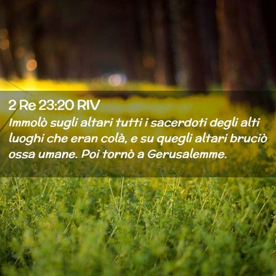 Picture 02 - 2 Re 23:20 RIV - Immolò sugli altari tutti i sacerdoti degli alti - Bible Verse Picture