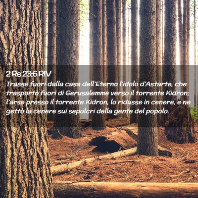 Picture 02 - 2 Re 23:6 RIV - Trasse fuori dalla casa dell’Eterno l’idolo - Bible Verse Picture
