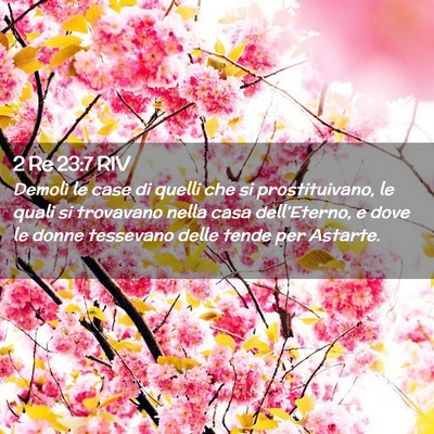 Picture 02 - 2 Re 23:7 RIV - Demolì le case di quelli che si prostituivano, - Bible Verse Picture