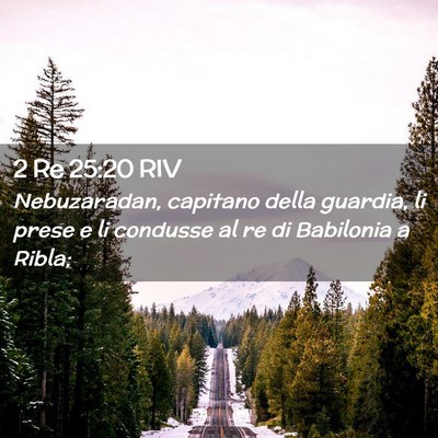 Picture 02 - 2 Re 25:20 RIV - Nebuzaradan, capitano della guardia, li prese e - Bible Verse Picture