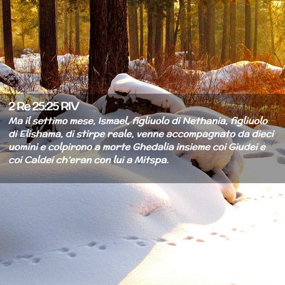Picture 02 - 2 Re 25:25 RIV - Ma il settimo mese, Ismael, figliuolo di - Bible Verse Picture