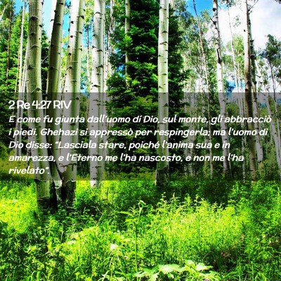 Picture 02 - 2 Re 4:27 RIV - E come fu giunta dall’uomo di Dio, sul monte, - Bible Verse Picture