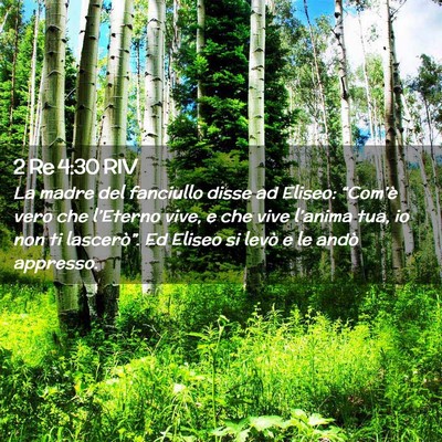 Picture 02 - 2 Re 4:30 RIV - La madre del fanciullo disse ad Eliseo: - Bible Verse Picture