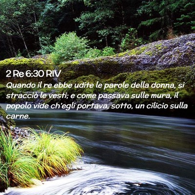 Picture 02 - 2 Re 6:30 RIV - Quando il re ebbe udite le parole della donna, si - Bible Verse Picture