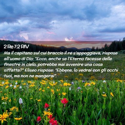 Picture 02 - 2 Re 7:2 RIV - Ma il capitano sul cui braccio il re - Bible Verse Picture