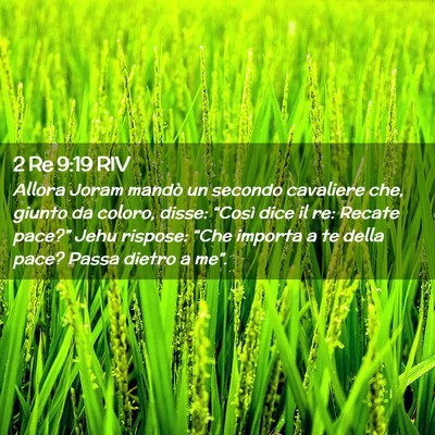 Picture 02 - 2 Re 9:19 RIV - Allora Joram mandò un secondo cavaliere che, - Bible Verse Picture