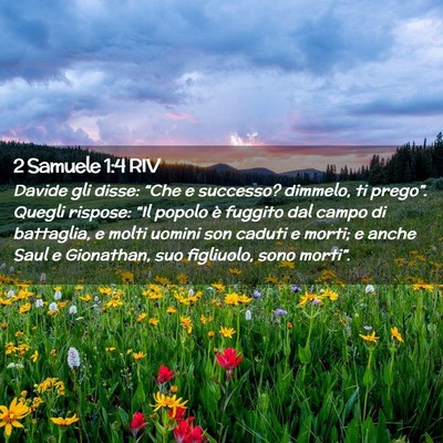 Picture 02 - 2 Samuele 1:4 RIV - Davide gli disse: “Che e successo? dimmelo, ti - Bible Verse Picture