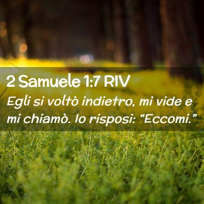 Picture 02 - 2 Samuele 1:7 RIV - Egli si voltò indietro, mi vide e mi chiamò. Io - Bible Verse Picture