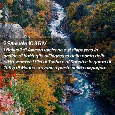 Picture 02 - 2 Samuele 10:8 RIV - I figliuoli di Ammon uscirono e si disposero in - Bible Verse Picture