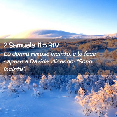 Picture 02 - 2 Samuele 11:5 RIV - La donna rimase incinta, e lo fece sapere a - Bible Verse Picture