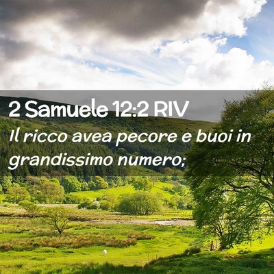 Picture 02 - 2 Samuele 12:2 RIV - Il ricco avea pecore e buoi in grandissimo - Bible Verse Picture