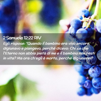 Picture 02 - 2 Samuele 12:22 RIV - Egli rispose: “Quando il bambino era vivo - Bible Verse Picture