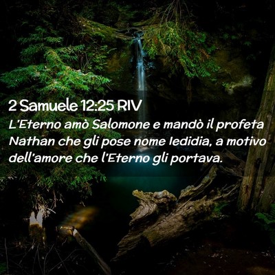Picture 02 - 2 Samuele 12:25 RIV - L’Eterno amò Salomone e mandò il profeta - Bible Verse Picture