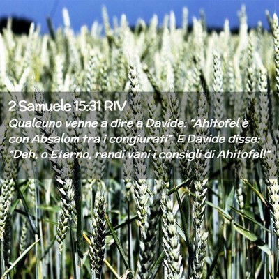 Picture 02 - 2 Samuele 15:31 RIV - Qualcuno venne a dire a Davide: “Ahitofel è - Bible Verse Picture