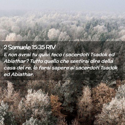 Picture 02 - 2 Samuele 15:35 RIV - E non avrai tu quivi teco i sacerdoti Tsadok ed - Bible Verse Picture