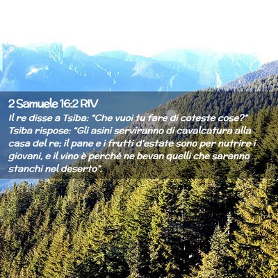 Picture 02 - 2 Samuele 16:2 RIV - Il re disse a Tsiba: “Che vuoi tu fare di - Bible Verse Picture