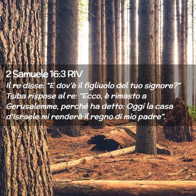 Picture 02 - 2 Samuele 16:3 RIV - Il re disse: “E dov’è il figliuolo del tuo - Bible Verse Picture