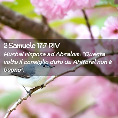 Picture 02 - 2 Samuele 17:7 RIV - Hushai rispose ad Absalom: “Questa volta il - Bible Verse Picture