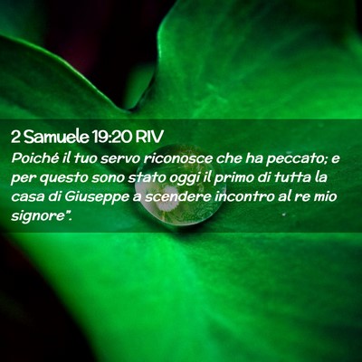 Picture 02 - 2 Samuele 19:20 RIV - Poiché il tuo servo riconosce che ha peccato; e - Bible Verse Picture