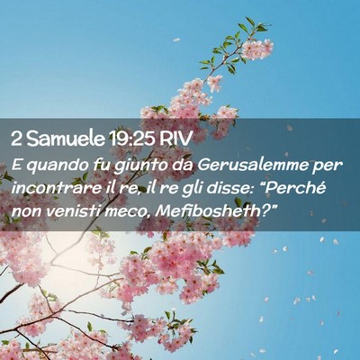 Picture 02 - 2 Samuele 19:25 RIV - E quando fu giunto da Gerusalemme per incontrare - Bible Verse Picture