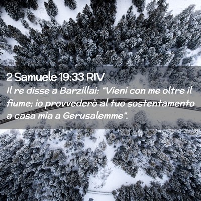Picture 02 - 2 Samuele 19:33 RIV - Il re disse a Barzillai: “Vieni con me oltre il - Bible Verse Picture