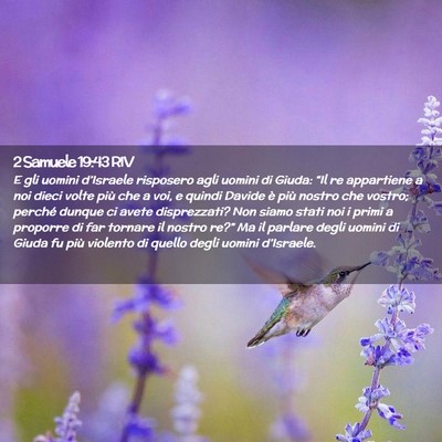 Picture 02 - 2 Samuele 19:43 RIV - E gli uomini d’Israele risposero agli uomini di - Bible Verse Picture