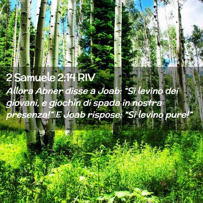 Picture 02 - 2 Samuele 2:14 RIV - Allora Abner disse a Joab: “Si levino dei - Bible Verse Picture