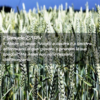 Picture 02 - 2 Samuele 2:21 RIV - E Abner gli disse: “Volgiti a destra o a - Bible Verse Picture