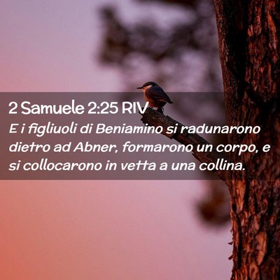 Picture 02 - 2 Samuele 2:25 RIV - E i figliuoli di Beniamino si radunarono dietro - Bible Verse Picture