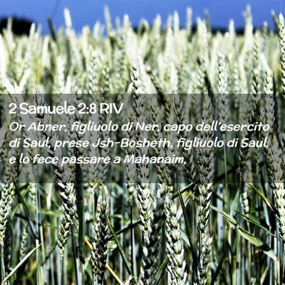 Picture 02 - 2 Samuele 2:8 RIV - Or Abner, figliuolo di Ner, capo dell’esercito - Bible Verse Picture