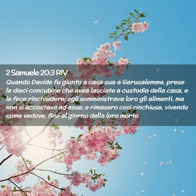 Picture 02 - 2 Samuele 20:3 RIV - Quando Davide fu giunto a casa sua a Gerusalemme, - Bible Verse Picture
