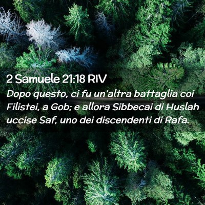 Picture 02 - 2 Samuele 21:18 RIV - Dopo questo, ci fu un’altra battaglia coi - Bible Verse Picture