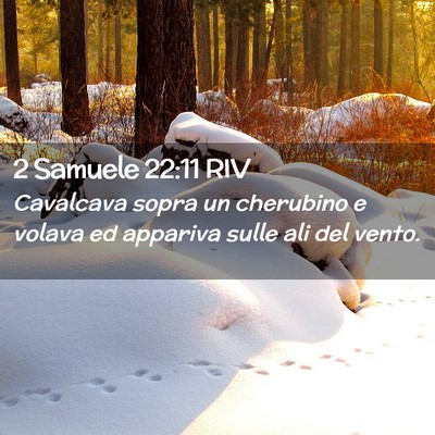 Picture 02 - 2 Samuele 22:11 RIV - Cavalcava sopra un cherubino e volava ed appariva - Bible Verse Picture