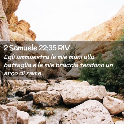 Picture 02 - 2 Samuele 22:35 RIV - Egli ammaestra le mie mani alla battaglia e le - Bible Verse Picture