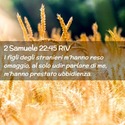 Picture 02 - 2 Samuele 22:45 RIV - I figli degli stranieri m’hanno reso omaggio, - Bible Verse Picture