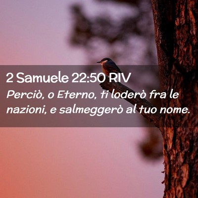 Picture 02 - 2 Samuele 22:50 RIV - Perciò, o Eterno, ti loderò fra le nazioni, e - Bible Verse Picture