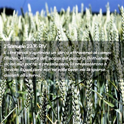 Picture 02 - 2 Samuele 23:16 RIV - E i tre prodi s’aprirono un varco attraverso al - Bible Verse Picture