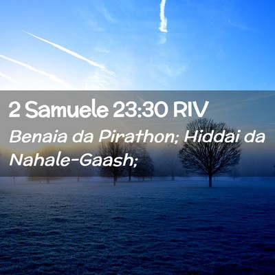 Picture 02 - 2 Samuele 23:30 RIV - Benaia da Pirathon; Hiddai da - Bible Verse Picture