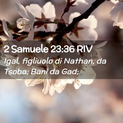 Picture 02 - 2 Samuele 23:36 RIV - Igal, figliuolo di Nathan, da Tsoba; Bani da - Bible Verse Picture