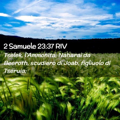 Picture 02 - 2 Samuele 23:37 RIV - Tselek, l’Ammonita; Naharai da Beeroth, - Bible Verse Picture